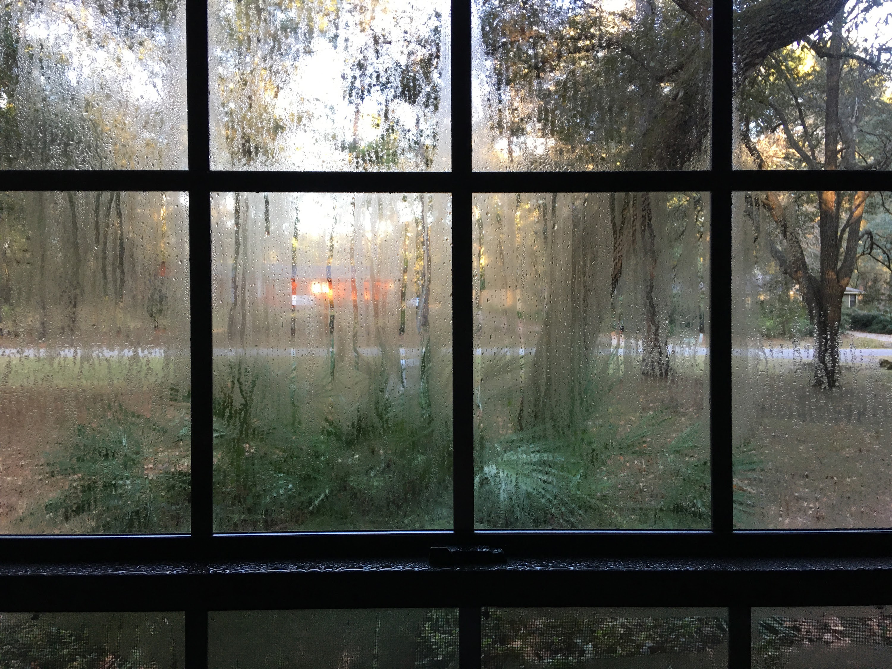 humid windows